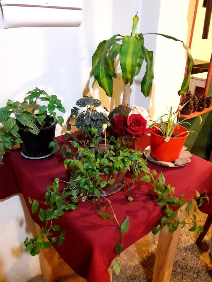 Shekinah Hotel Villa Cura Brochero Eksteriør billede